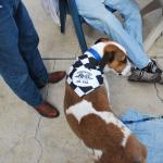 SA_2010_064 ()